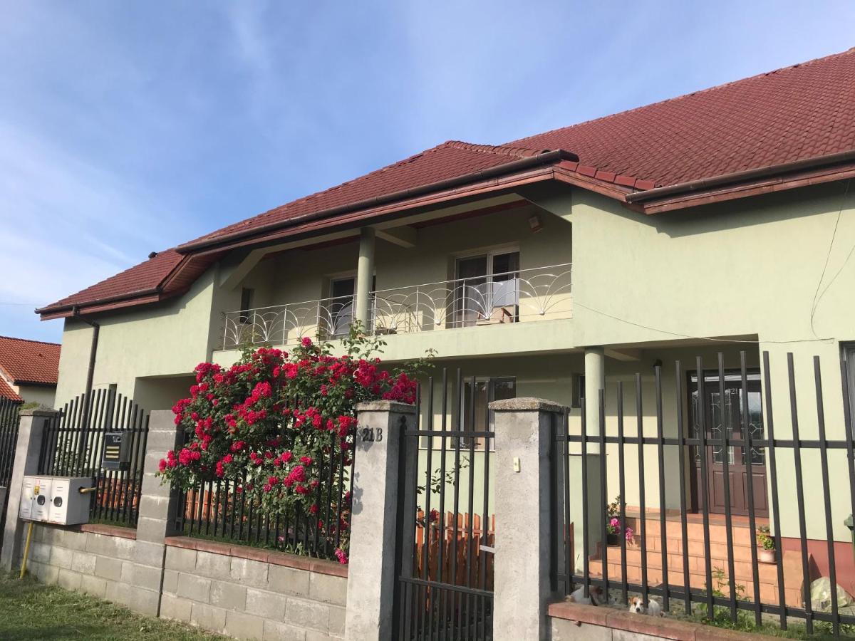 Casa Vio Villa Timisoara Exterior photo