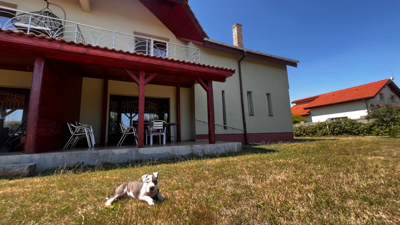 Casa Vio Villa Timisoara Exterior photo