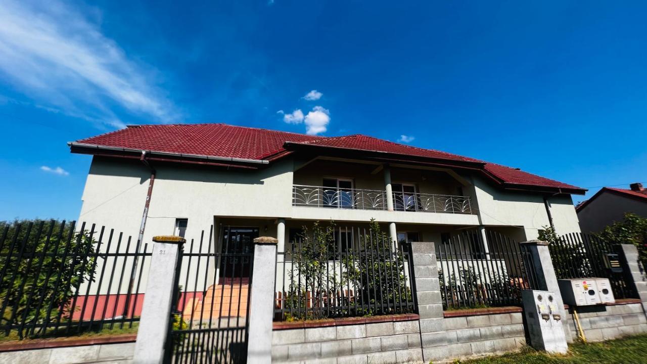 Casa Vio Villa Timisoara Exterior photo