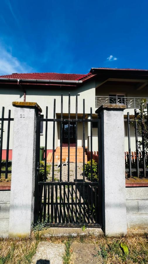 Casa Vio Villa Timisoara Exterior photo
