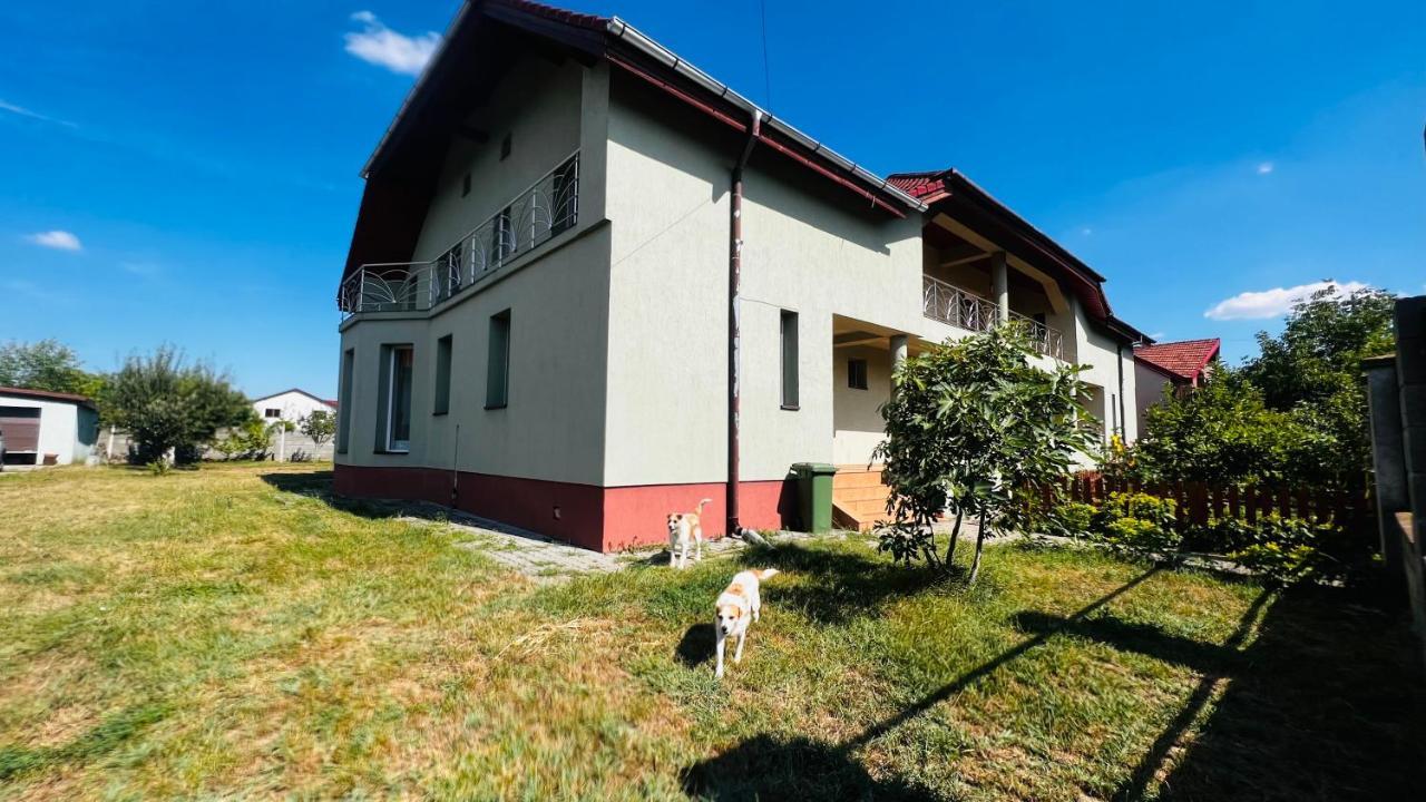 Casa Vio Villa Timisoara Exterior photo