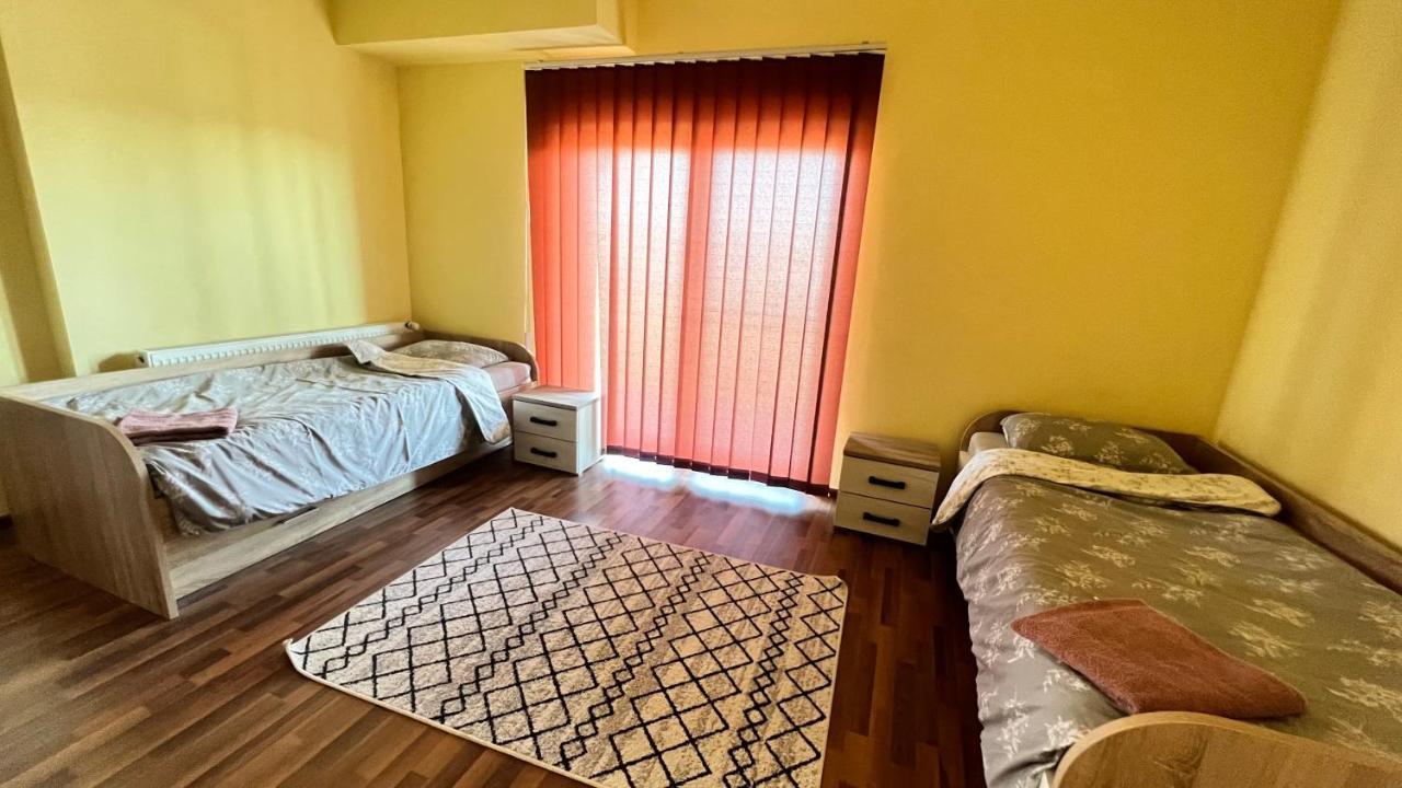 Casa Vio Villa Timisoara Exterior photo