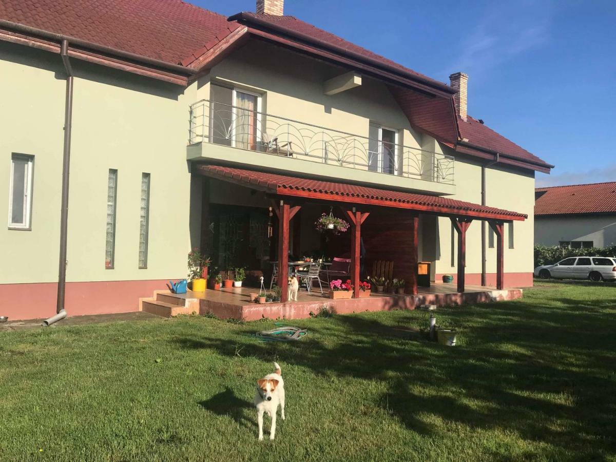 Casa Vio Villa Timisoara Exterior photo